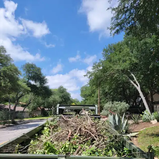 Yard Debris Haul-Away – EcoWise Junk Removal Austin